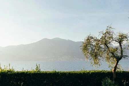 Hotel sul Lago di Garda ✱ Hotel con spiaggia privata