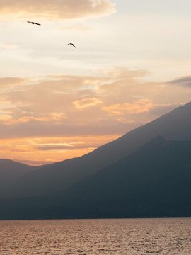 Hotel con mezza pensione sul Garda Direttamente sul lago