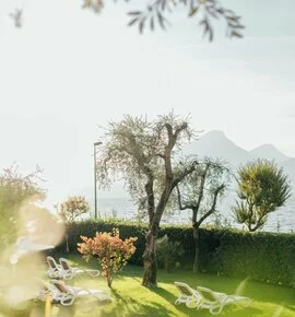 Hotel sul Lago di Garda : Con spiaggia privata e terrazza